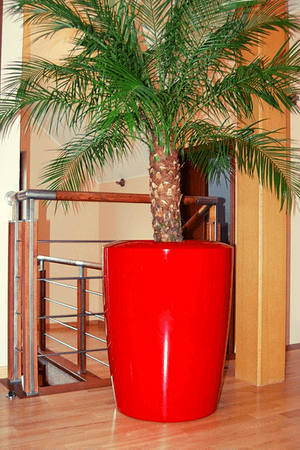 Velký kruhový hrnec Anakena 125 cm s vložkou, antracitová barva