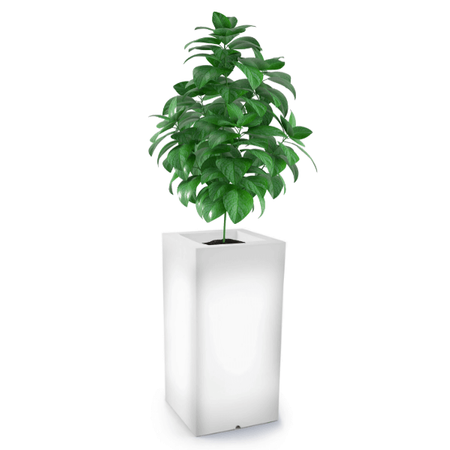 Osvětlený vysoký květináč Tower Pot 70 cm