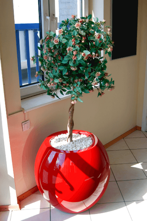 Manacor velký kulatý květináč 100 cm, červený
