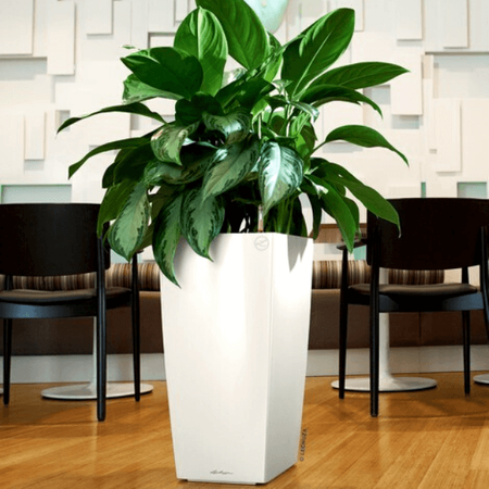 Sada hrnců a podšálků Lechuza Cubico Premium 56 cm, bílá